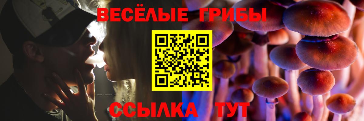 Псилоцибиновые грибы ЛСД  Вход с VPN  Арзамас 